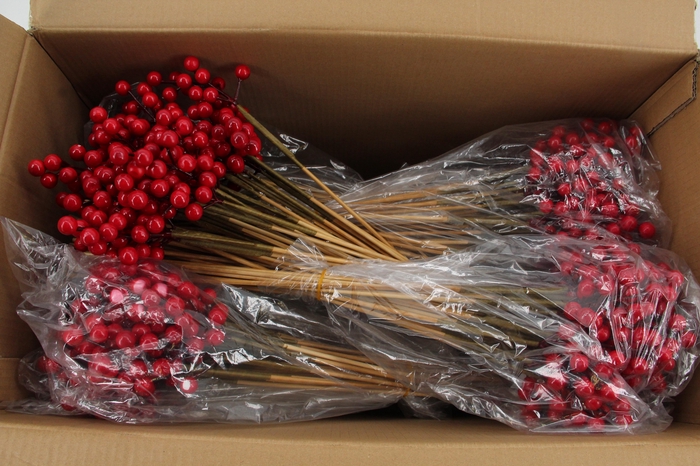 <h4>Stick Berries Rose Hips Red</h4>