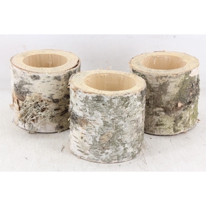 arr3 GB - Schors pot x9