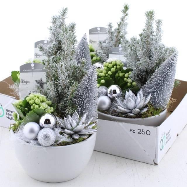 <h4>Arr Kamerpl</h4>