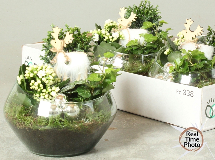 <h4>ARR KAMERPL</h4>