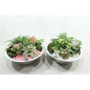 5603 Zink Indoor Roze/wit