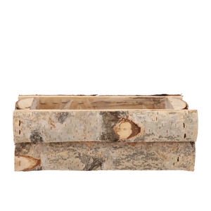 Nature Birch Rectangle 35x16x12cm