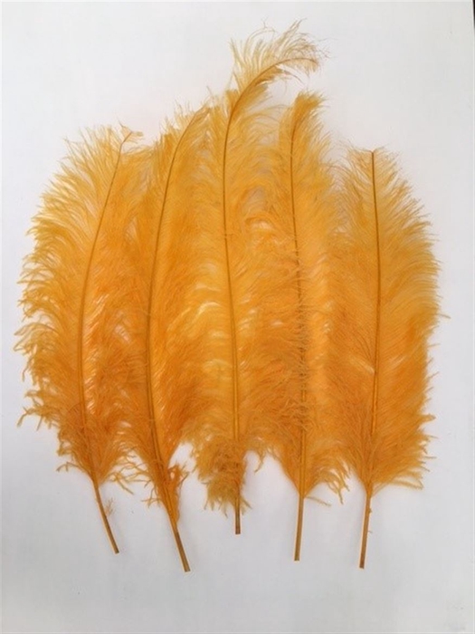 Feathers Ostrich 5 Pcs Orange