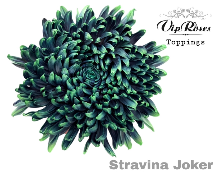 <h4>CHR G STRAVINA JOKER</h4>