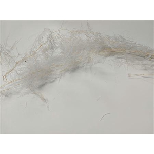 Bunch Asparagus 100g Pres.L100