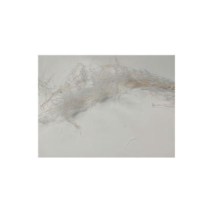 <h4>Bunch Asparagus 100g Pres.L100</h4>