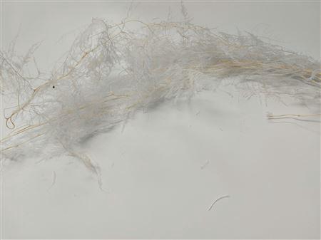 Bunch Asparagus 100g Pres.L100