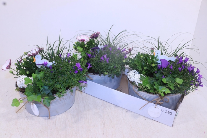 <h4>ARR TUINPLANTEN</h4>