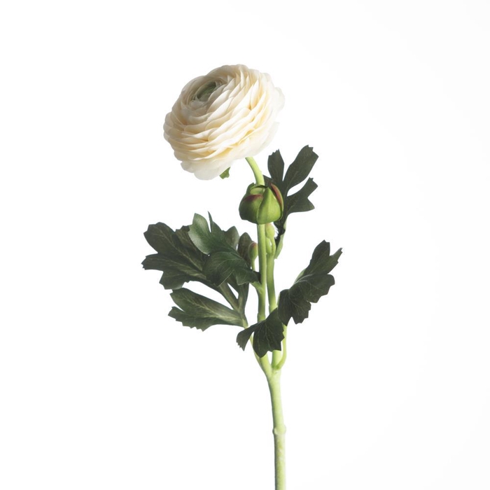 <h4>AF Ranunculus L51cm White</h4>