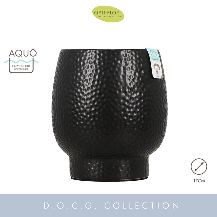 <h4>Abruzzo Black 17 cm Aquo</h4>