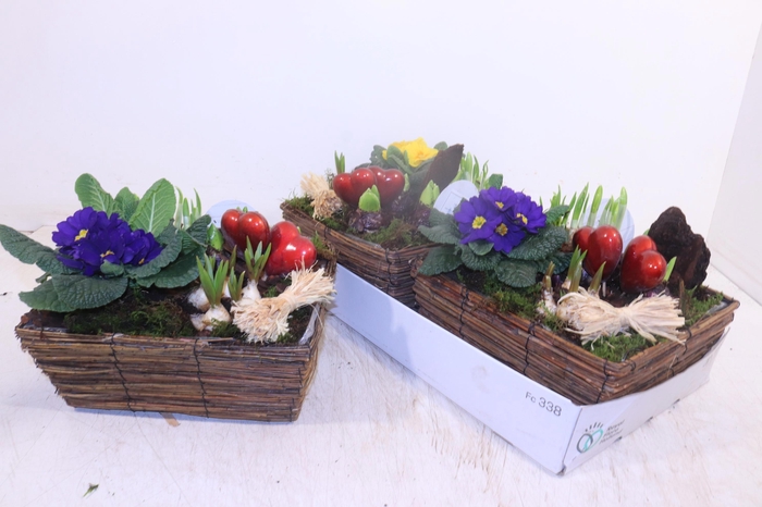 <h4>ARR TUINPLANTEN</h4>