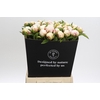 Paeonia Mary E. Nicholls