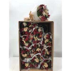 Dr Bqt Dried Fantasy Red