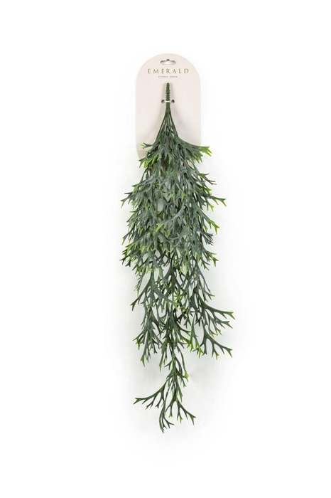 <h4>Fern staghorn hangende struik grs 8</h4>