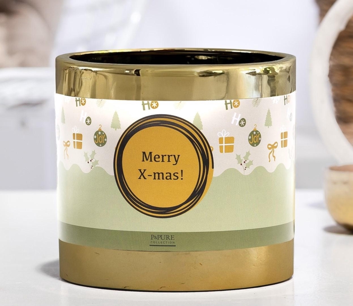 <h4>P&PURE Laryssa ceramics goud met potwikkel Merry X-Mas</h4>