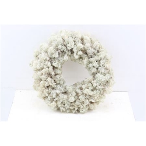 WR REINDEER MOSS 35CM