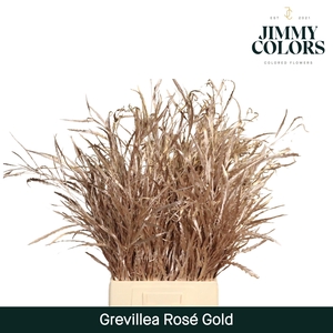 Grevillea (bunch) Rose gold