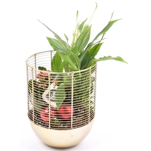 Metaal gaas planter goud 16cm