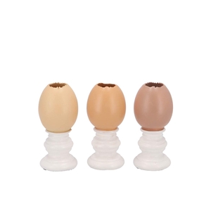 Easter Egg Trophy Natural Brown Mix Vase Ass 6x6x11cm Nm