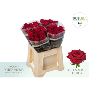 R Gr Red Naomi! Unica - Futura 40 - Futura