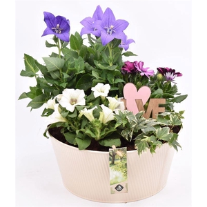 Zink schaal ribbel creme 25cm