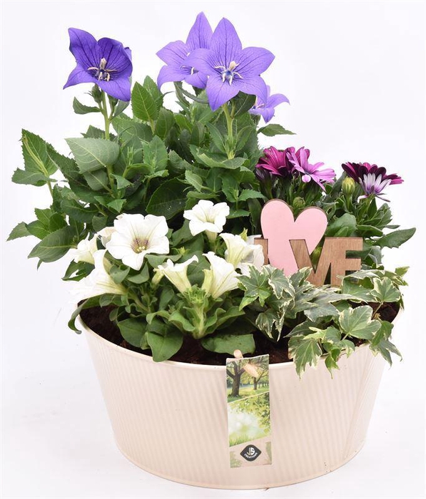 <h4>Zink schaal ribbel creme 25cm</h4>