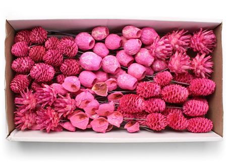 Lcd Assorti Pastel Fuchsia On 10cm Wire