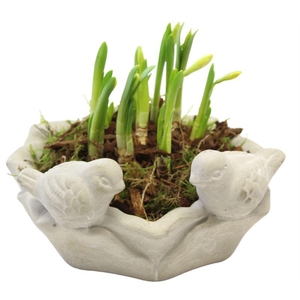 8423  DRINKSCHAAL TETE