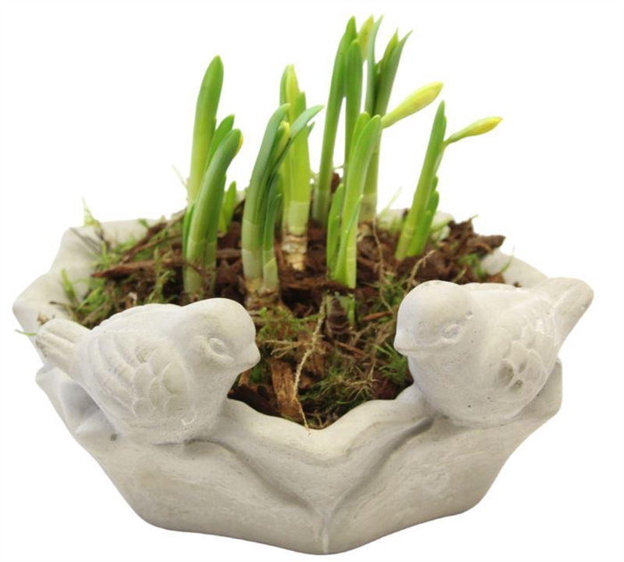 <h4>8423  DRINKSCHAAL TETE</h4>