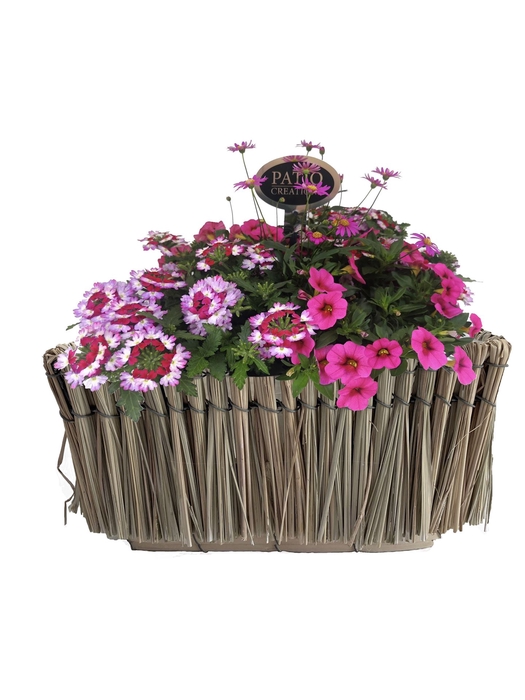 <h4>Arr.   Perkplanten H%</h4>