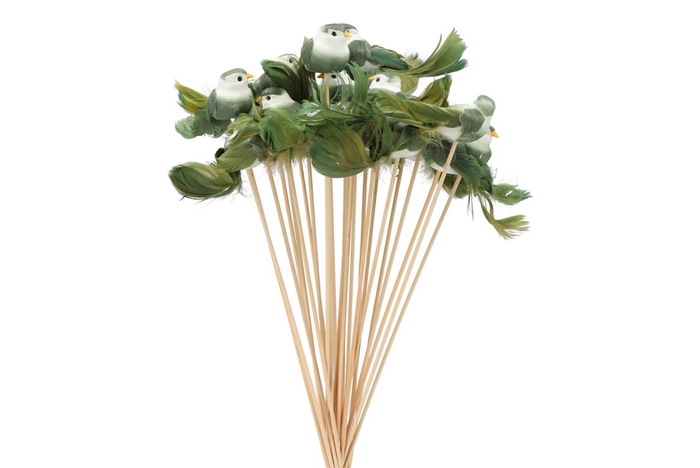 <h4>Pick Birs On Stick Dark Green P/25 11x4x50cm</h4>