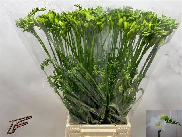 <h4>FR EN AMBIANCE</h4>