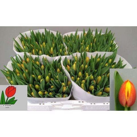 <h4>TU EN DOW JONES</h4>