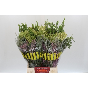BQ Cape Greenmix