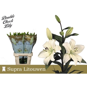 LI LA LITOUWEN