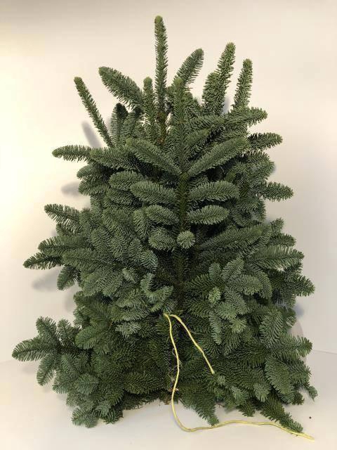 <h4>ABIES NOB BLAUW KILO</h4>