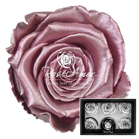 <h4>Lplus Metallic Old Pink</h4>