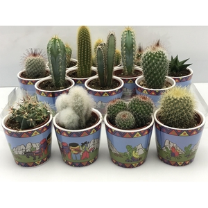 CACTUS GEM