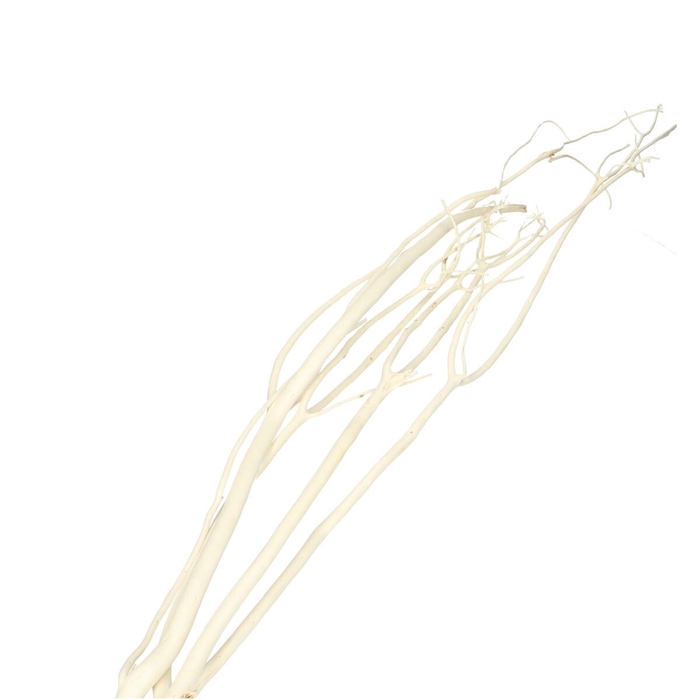 <h4>Dried articles Mitsumata 115cm x3</h4>