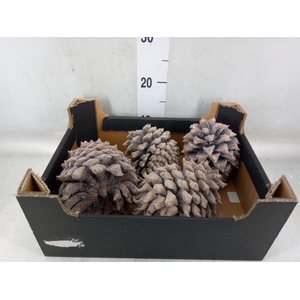 Decoratieve materialen   ...H%