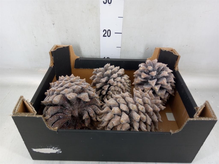 <h4>Decoratieve materialen   ...H%</h4>