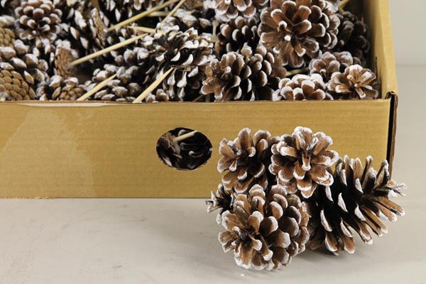 Stick Pine Cone White Tipped