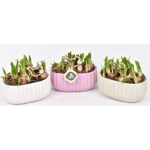 Keramiek ovaal mix kleur18,5x12cm