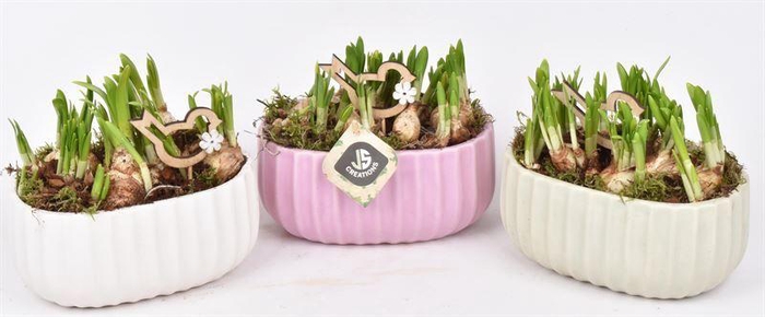 <h4>Keramiek ovaal mix kleur18,5x12cm</h4>