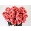 Rosa ec mandarin expression