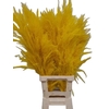 Sacuara Yellow