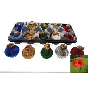 BLOEMBOL HIPPEASTRUM