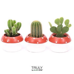 TRULY Cactus, mushroom