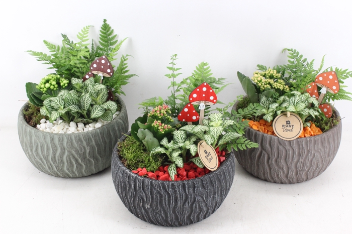 <h4>arr2 PL - Keramiek motief mix</h4>