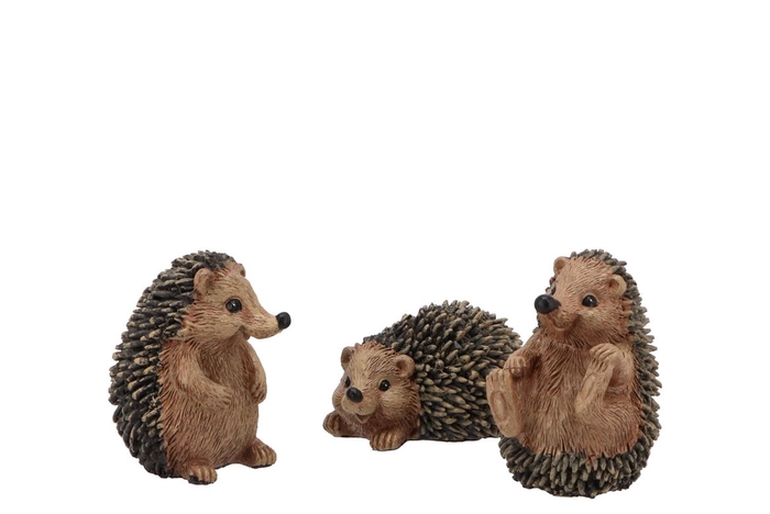 <h4>Deco Hedgehodge Ass Per 1 5x7cm</h4>